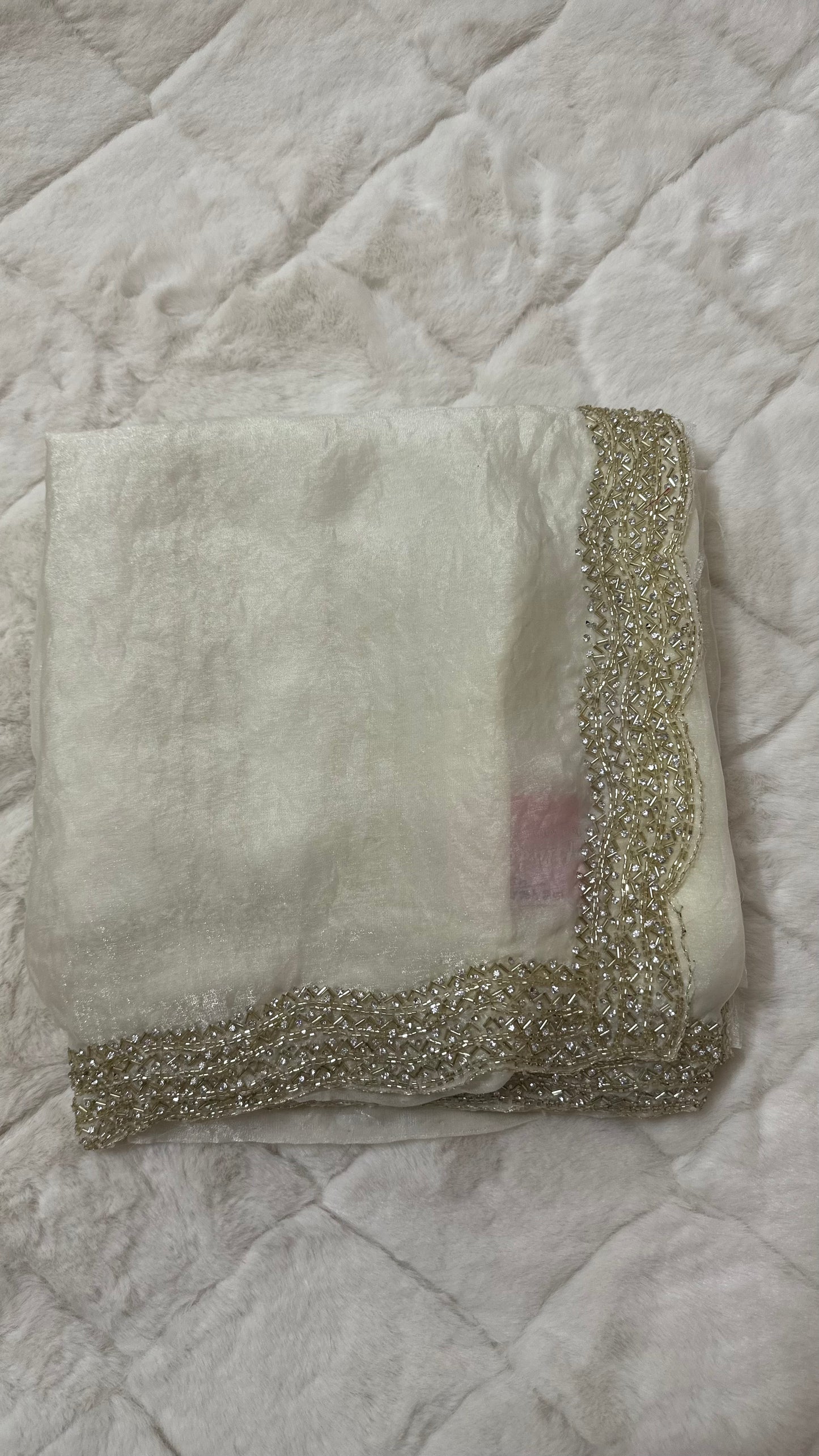 Sparkle Tissue Handwork Saree