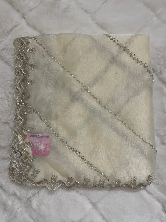 Roohani Tissue Handwork Saree